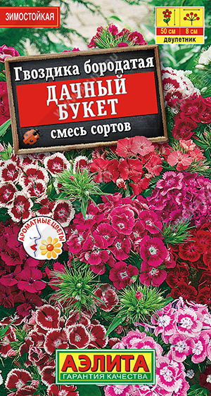 Дачный букет