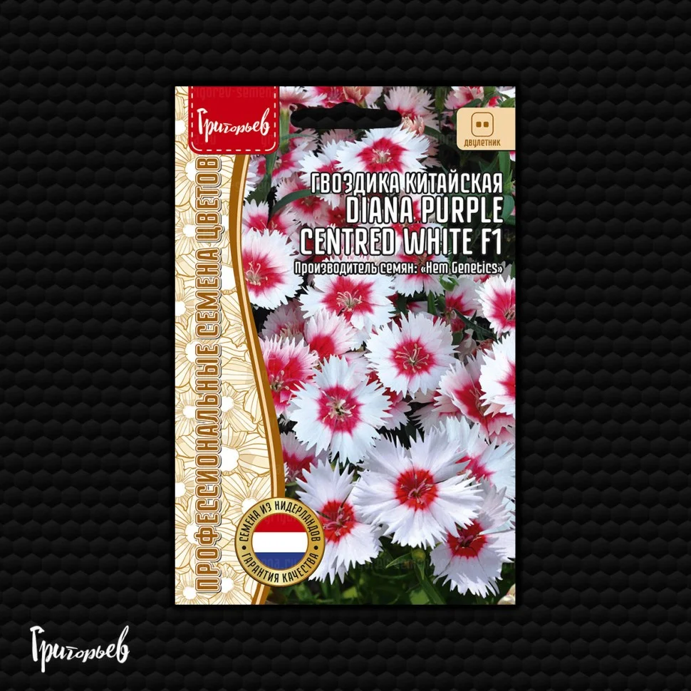 Diana Purple Centred White
