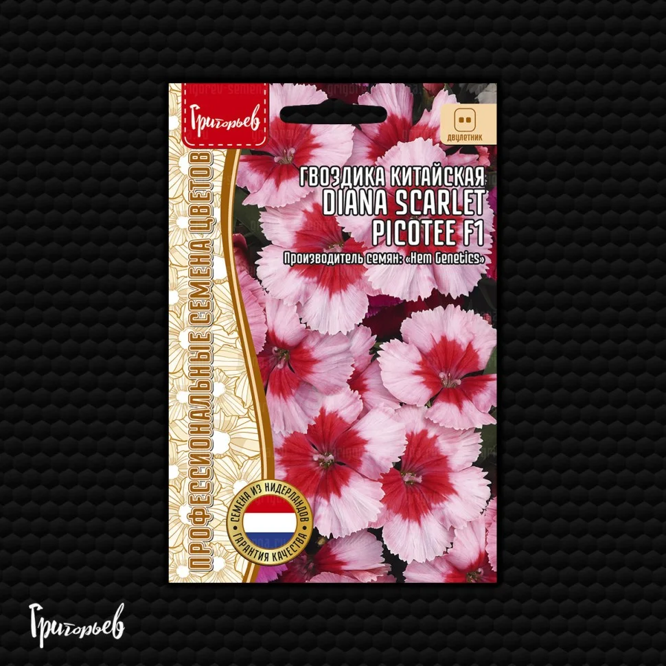 Diana Scarlet Picotee