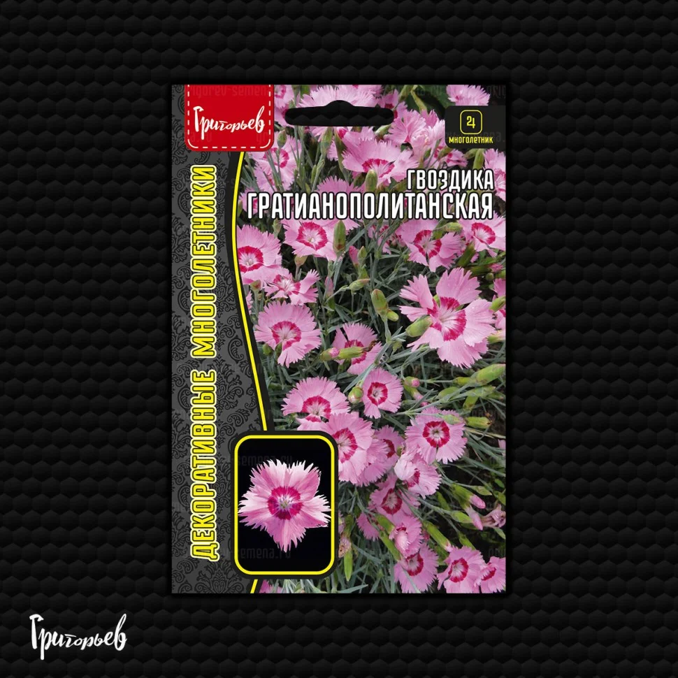 Гратианополитанская