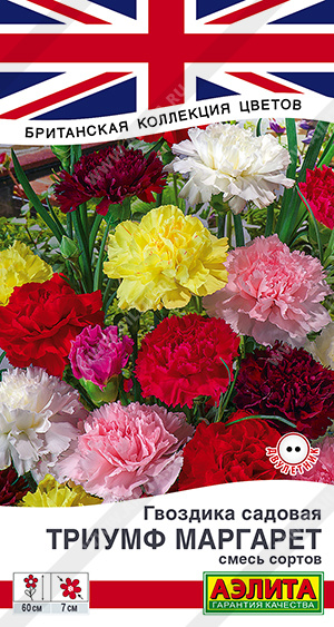 Триумф Маргарет