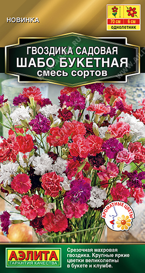 Шабо Букетная 