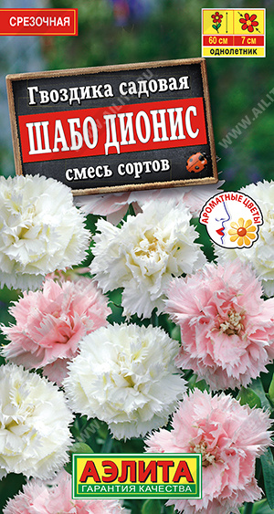 Шабо Дионис