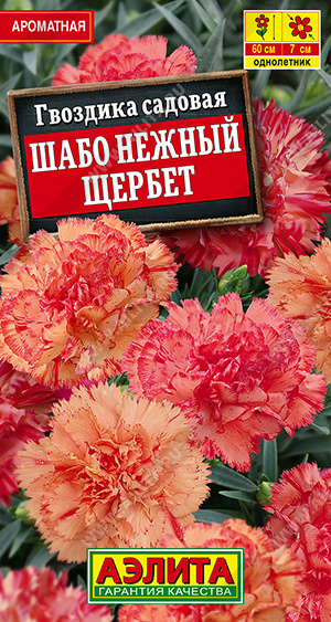 Шабо Нежный щербет