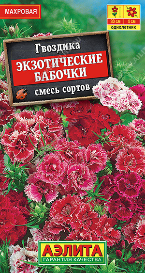 Экзотические бабочки