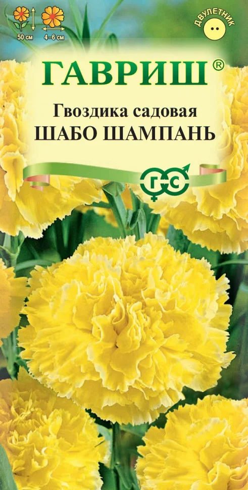 Шабо Шампань