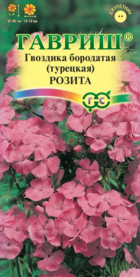 Розита