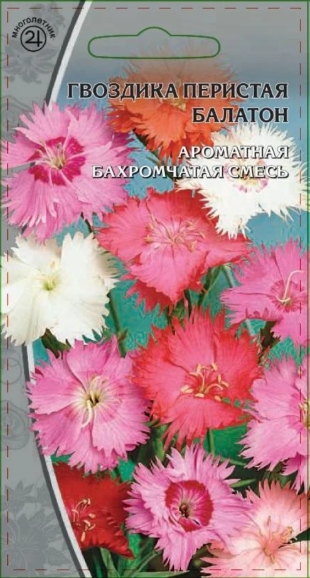 Миниатюра изображения сорта Балатон