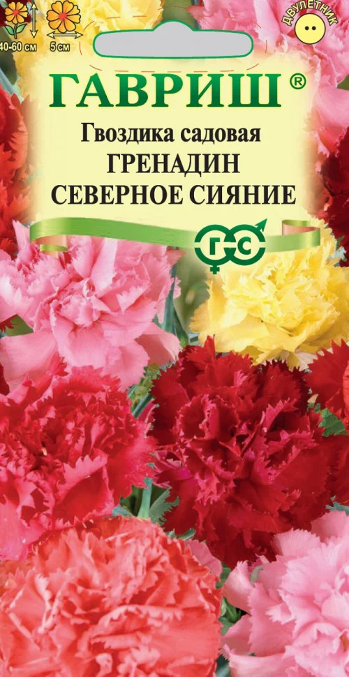 Северное сияние