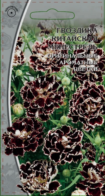 Менестрель