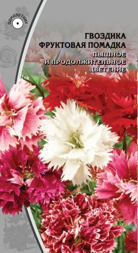 Фруктовая помадка