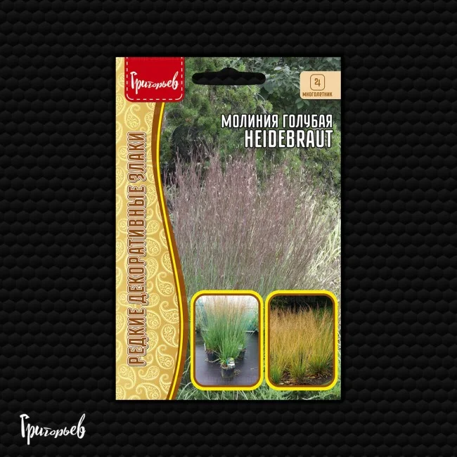 Heidebraut голубая