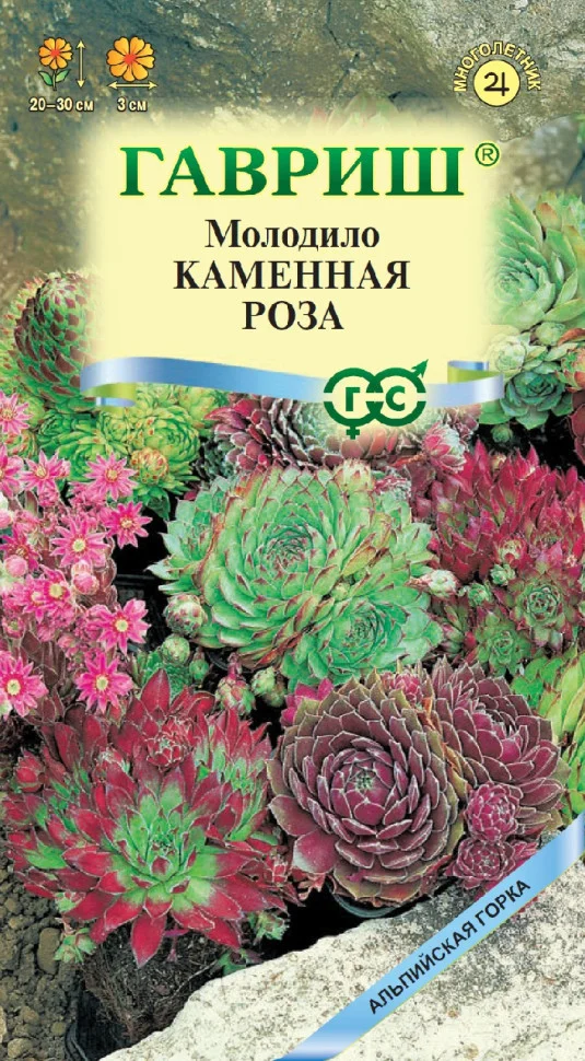 Каменная Роза 