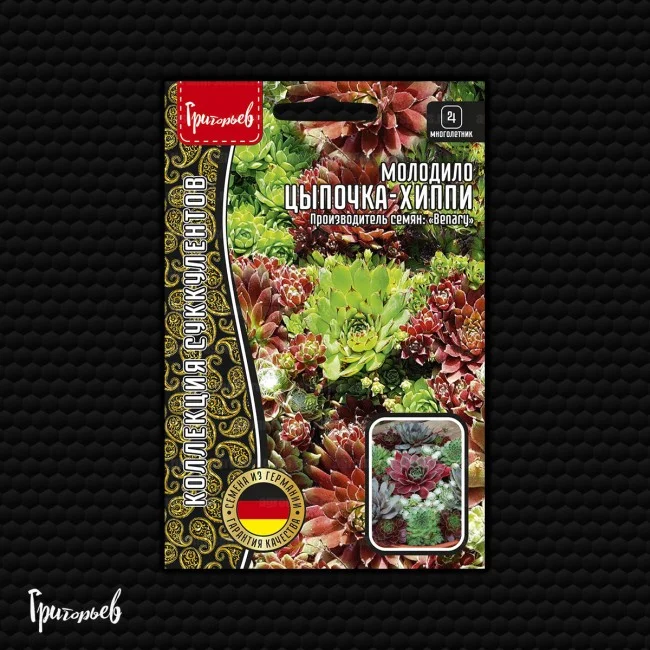 Цыпочка-Хиппи