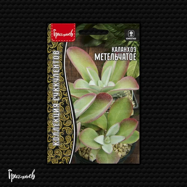 Метельчатое