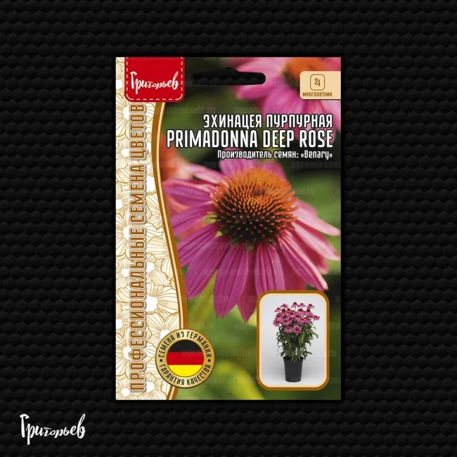 Primadonna Deep Rose