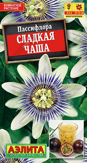 Сладкая чаша