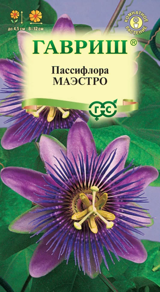 съедобная Маэстро