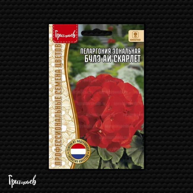 Булз Ай Скарлет