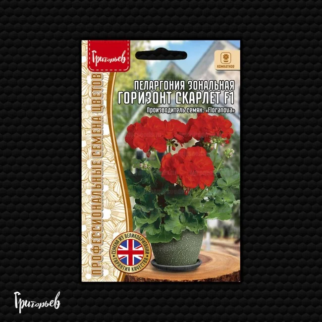 Горизонт Скарлет