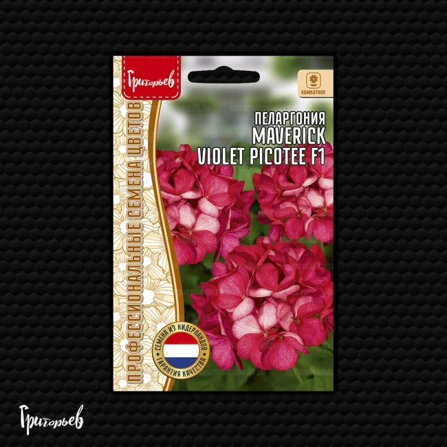 Маверик Violet Picotee