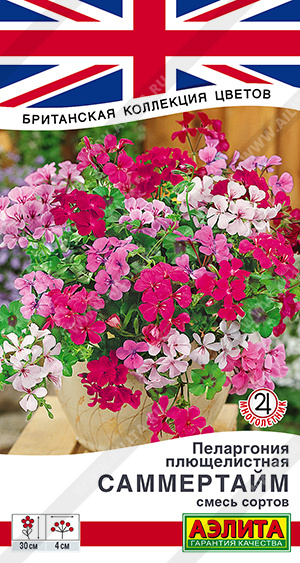 Саммертайм