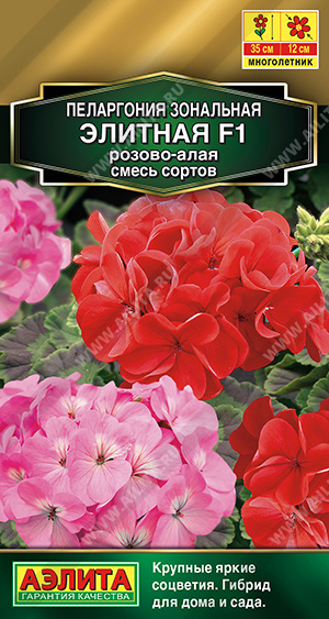 Элитная розово-алая