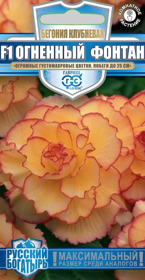 Огненный фонтан