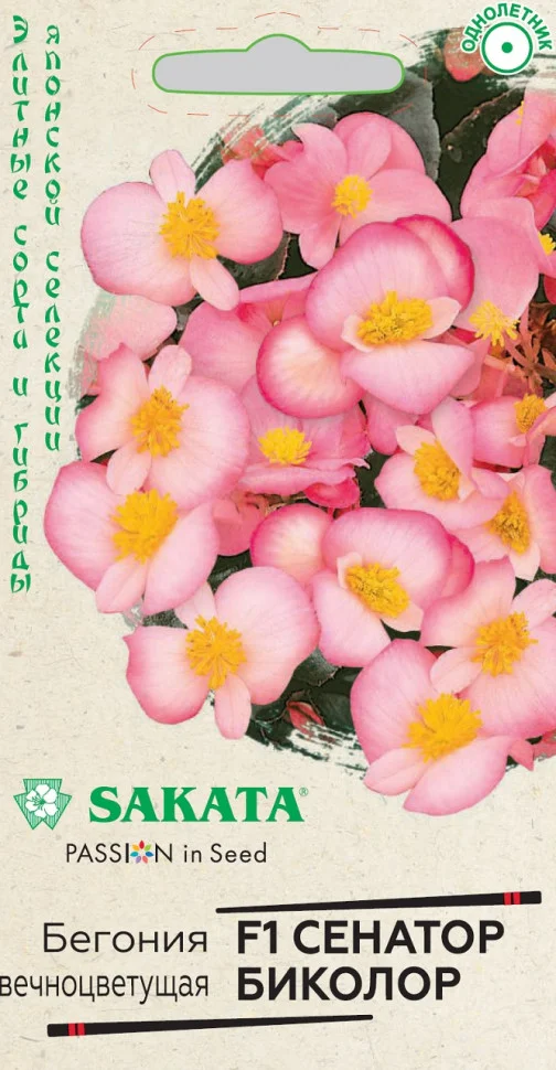 Сенатор Биколор