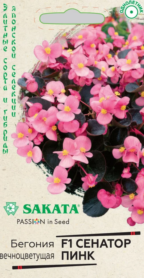 Сенатор Пинк 