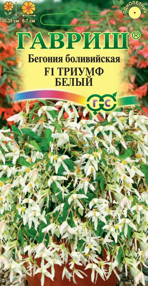 Триумф белый