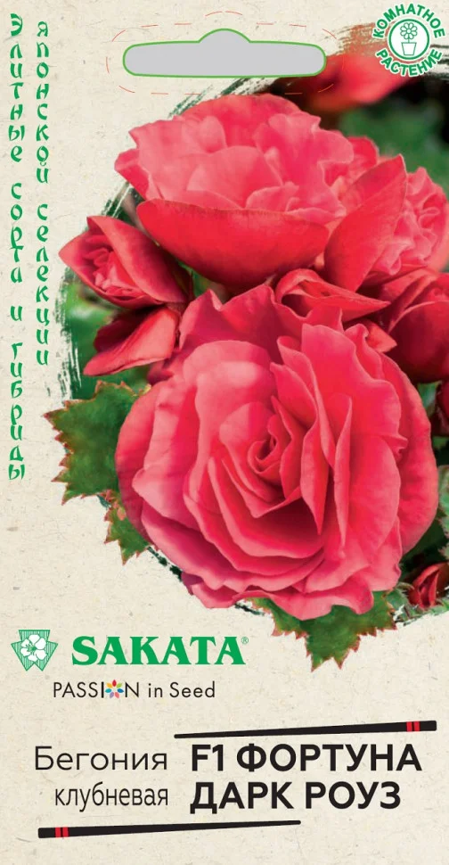 Фортуна Дарк роуз 