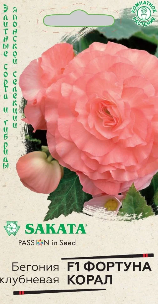 Фортуна Корал