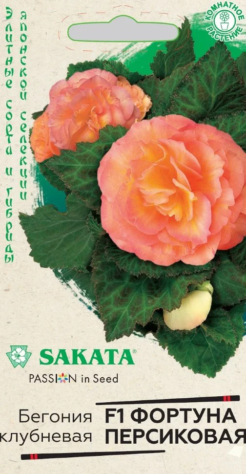 Фортуна Персиковая