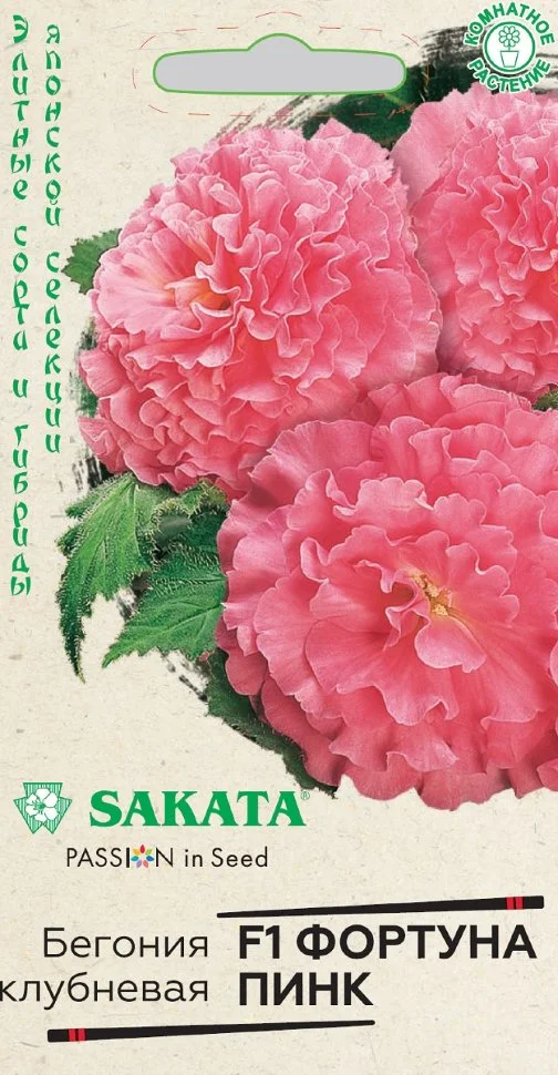 Фортуна Пинк 