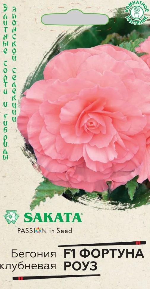 Фортуна Роуз