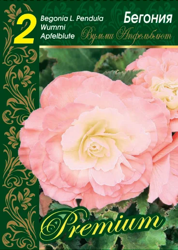 Вумми Апфельблюте