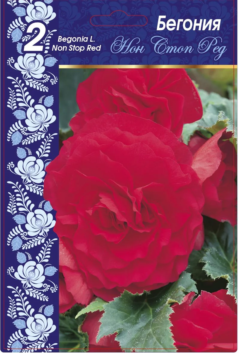 Нон Стоп Ред