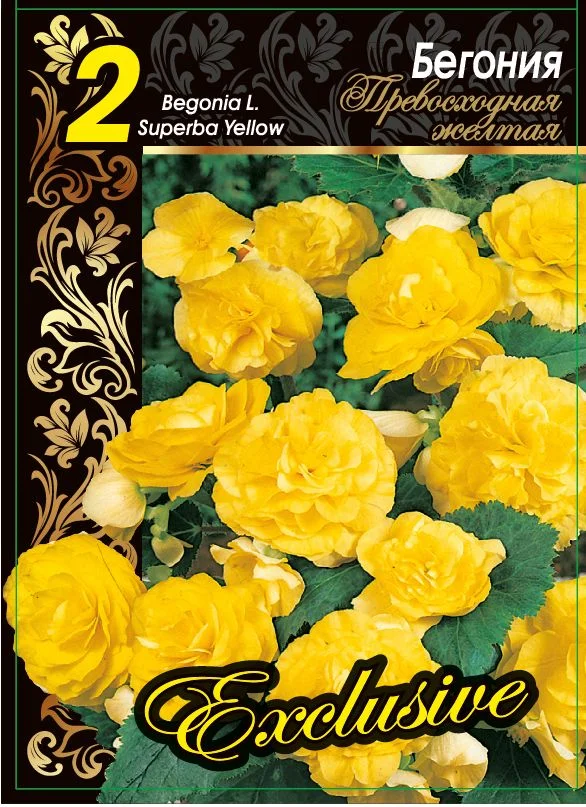 Превосходная Желтая