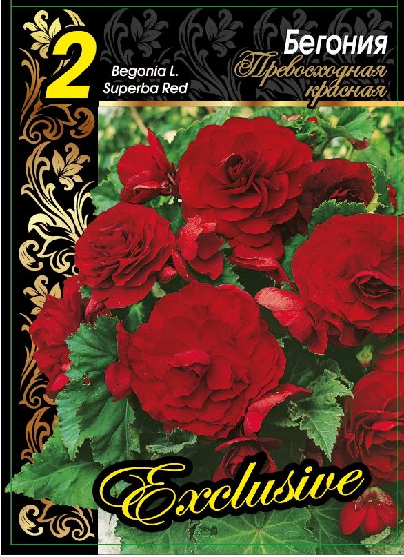 Превосходная Красная