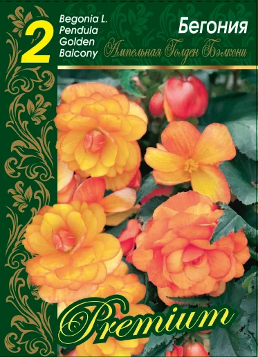 Голден Бэлкони