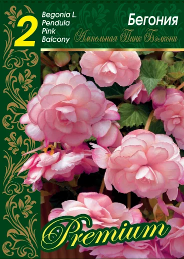 Пинк Бэлкони