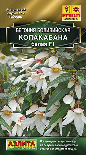 Копакабана белая