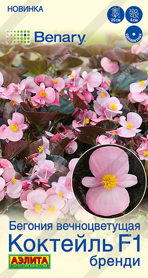 Коктейль бренди