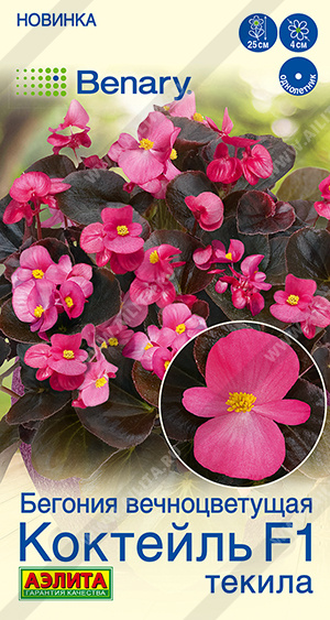 Коктейль текила