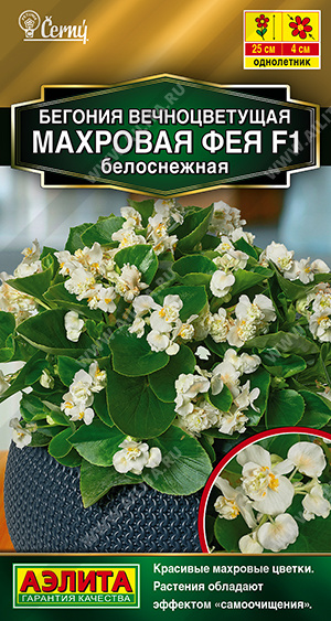 Фея белоснежная