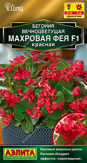 Фея красная