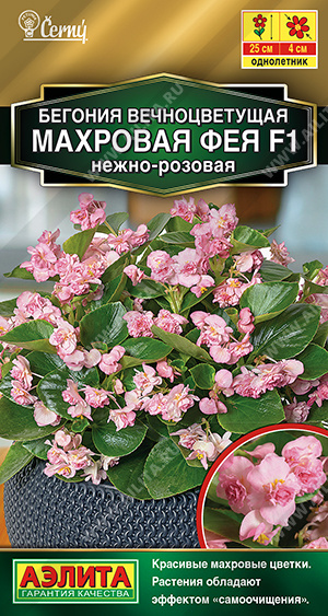 Фея нежно-розовая