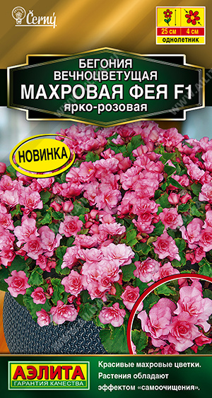 Фея ярко-розовая