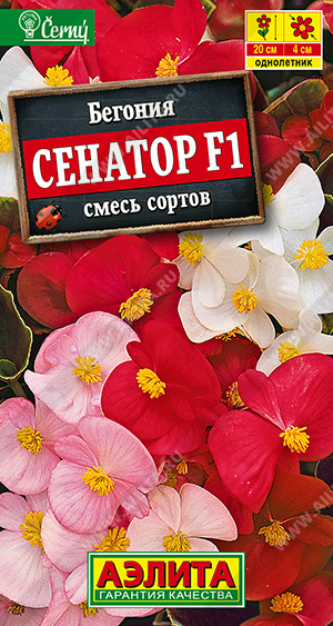Сенатор